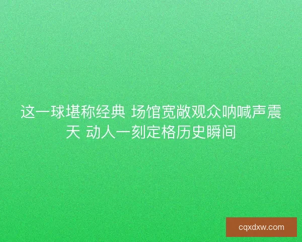 这一球堪称经典 场馆宽敞观众呐喊声震天 动人一刻定格历史瞬间